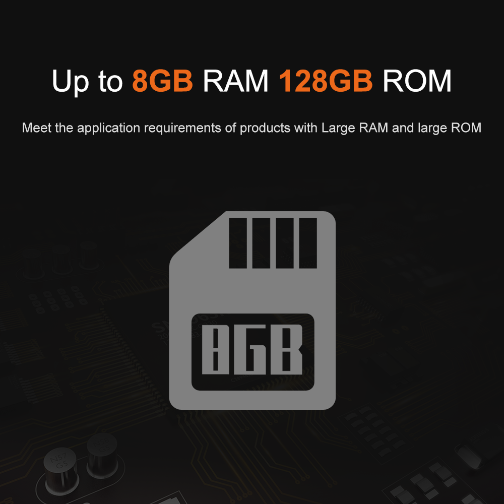 Liontron RK3566 DDR4 8GB RAM A - огляд і ціна Open Vending Machine